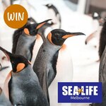 Win 1x Family Pass to SEA LIFE Melbourne Aquarium (RRP $111.20) from Free Kids Events in Melbourne