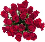24 Long Stems Roses with Vase $149.99 Delivered on Valentine’s Day Only @ Costco (Membership Required)
