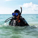 [NSW] 20 Metre Open Water Scuba Diving Course Sydney Voucher $299 (Save 57%) @ PRO DIVE