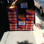 Box (16x) R2e2 Mangos - $14.00 at The Fresh Fruit World in Niddrie, VIC