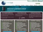 Metaball Hosting - FREE Fuel and Domain on Shared and Reseller Hosting Services