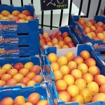 Tray of 25 Calypso Mangoes $20 @ Souqfresh Burwood Westfield (NSW) 