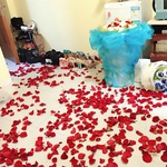 70% off US $0.24 100 Pcs Artificial Silk Rose Flower Petals Free Shipping @ Lightake