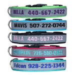 Spiffytags Personalized Dog Collar: US $8.50 (~AU $13.10) + Free Shipping @ Spiffytags