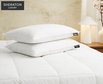Sheraton Luxury Goose Feather & Down Pillow 2-Pack $39 + Delivery ($0 with OnePass) @ Catch