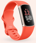 Fitbit Charge 6 $209.95 Delivered @ Google Store ($199.45 Price Beat @ Officeworks)