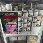 [VIC] Haagen-Dazs Matcha Green Tea Ice Cream 457ml - 3 for $10 @ Savemore, Sandown