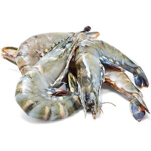 Extra Large Raw Tiger Prawns $18/kg (Was $29/kg) @ Woolworths