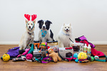 Win 1 of 24 prizes (Canon Camera or Various Pet Prizes) from Puppy Tales [Closes Today]