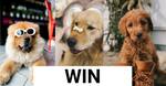 Win a $100 Pet Care Voucher from Choice Pharmacy Eastern Creek (NSW)