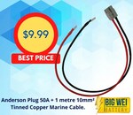 Pre Made Anderson Style Plug + 1 Metre 10mm² Tinned Copper Marine Cable $10 + Delivery ($0 BNE C&C) @ Big Wei Battery