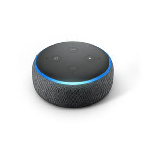 ozbargain echo dot