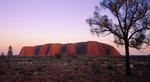 $19 One Way Economy Flight from Sydney to Uluru (Ayers Rock) with Jetstar @ Webjet