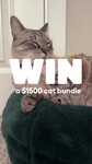 Win a Freestyle Indoor Cat Tree + Maya Donut Cat Bed + Switch Cat Scratcher Valued at $1,500 from Omlet Australia