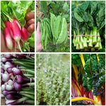 Winter Veggie Garden Seed Bundle (6 Varieties) + Free Shipping $12 @ Veggie Garden Seeds (Excludes WA/NT)