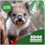 Win a 12-Month Zoo Membership Plus Child Upgrade - Zooper Kids Club Packs (Valued $162) from Free Kids Events in Melbourne