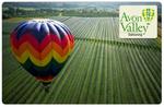 Hot Air Balloon Adventure in WA with Gourmet Breakfast $98 (normally $355)