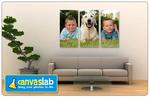 $39 for a Large 51 x 71 cm Custom Canvas Print (normal $200), DELIVERY INCLUDED - CanvasLab