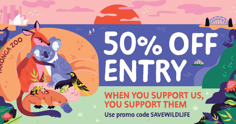 new zoo discount code