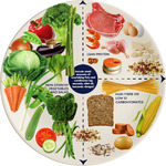 Bonus Digital "Building Healthier Meals" Info Sheet with Healthy Eating Meal Plate for $9.95 (Was $13.95) @ Diabetes Shop