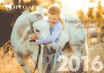 Free 2016 Horse Calendar (Includes Free Postage)