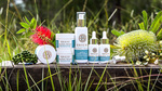 Win 1 of 4 Briese Botanicals Skincare Solutions Packs Worth $244.20 Each from OK! Magazine