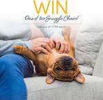 Win 1 of 2 Plush Snuggle Swivel Chairs Worth $1,799 Each from Plush - Think Sofas
