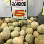 [QLD] Sweet Rockmelon $0.05 Each @ Blunder Road Country Markets
