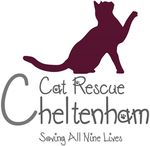 [VIC] Half Price Adult Cat Adoptions - $80 @ Cheltenham Cat Rescue