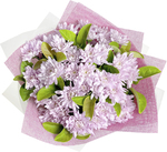 Mother's Day Chrysanthemum Bouquet $39.99 Delivered @ Costco (Membership Required)