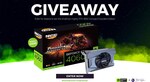 Win a RTX 4060 Compact Founders Edition from Blue and Queenie