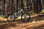 Win a Pivot Firebird Frame Worth $7,999 from Flow Mountain Bike