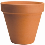 17cm Standard Terracotta Pot $1.00ea at Masters (85c with Coupon)