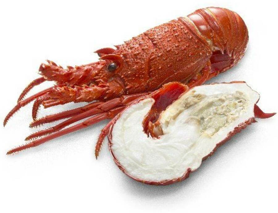 Thawed Cooked Wa Rock Lobster 20 Woolworths Ozbargain