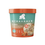 Greenback Protein Frozen Dessert Caramel Sticks 3 Pack & Salted Caramel Tub 475ml $3.25 @ Coles