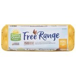 Sunny Queen Free Range Large Eggs 12 Pack (600g) for $4.50 (20% off) @ Coles