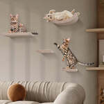 50% OFF Set of Facade Add-Ons when purchasing a Set of Cat Climbers that's also $50 OFF ($79.50 Total Savings)