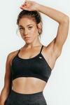 Sports Bras Starting from $19 (Was $49), Seamless Tights $29 (Was $79) + Free Shipping @ Wrapdrive