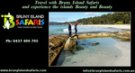 [TAS] 10% off "Food, Sightseeing, and Lighthouse Tour" @ Bruny Island Safaris