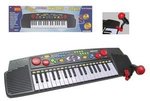 Electronic Singalong Keyboard $15 at DSE