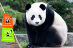 Annual Membership Adelaide Zoo (Ch $35/A $75/Fam $189), Gives Free Entry to Many Zoos All Year