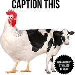 Win a Weber Q Worth $430 from Salsa's - Caption a Pic Comp