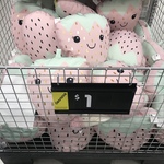 [VIC] Kids Strawberry Cushion $1 Clearance @ Kmart Chadstone