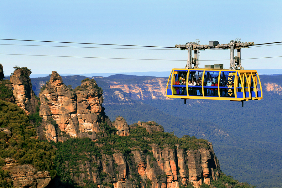 40 off lone pine koala sanctuary tickets blue mountain or wilsons