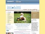 15% off and free shipping for orders over $50 @ the itti bitti nappy co