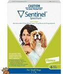 Sentinel Spectrum For Small Dogs 4kg - 11kg - 6Packs - GREEN $65 Free Delivery @ Petaz