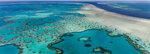 Win a 7-Day Guided Tour of The Great Barrier Reef (Including Flights) with Intrepid Travel Worth $9,389 from WWF Australia