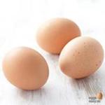 Free 2013 Calendar from The Egg Team - Eggs Easy As