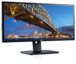 Dell UltraSharp U2913WM 29" Ultra-Wide Monitor $419 Delivered (Includes 30% off) [Was $599]