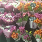 80% off Marked Fresh Flowers @ Woolworths Crows Nest, NSW